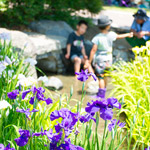 050-2_ITADAKI 2014 Photo by Ishikawa