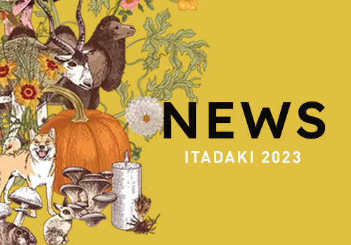 頂 -ITADAKI- 2023 開催中止のお知らせ