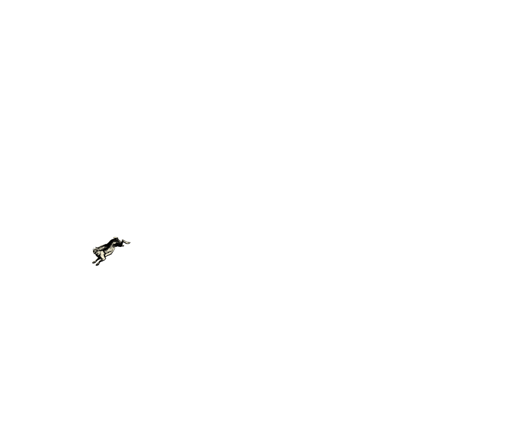 ITADAKI 2020