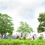 ITADAKI 2015 Photo by Ishikawa