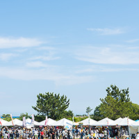 Ishikawa