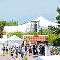 Ishikawa