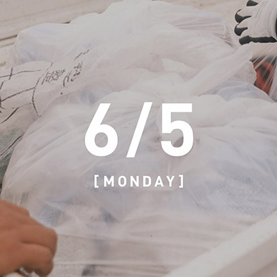 2023/6/5 MON