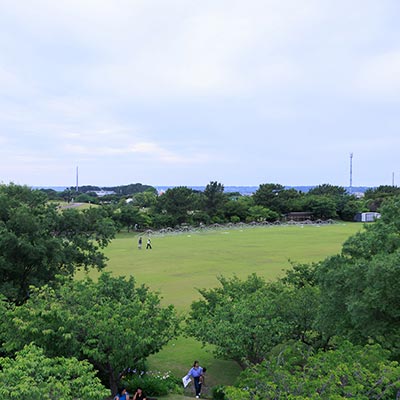 Hitoshi Shoji